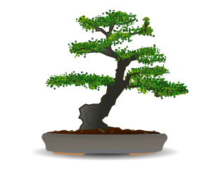 Happy Little Bonsai